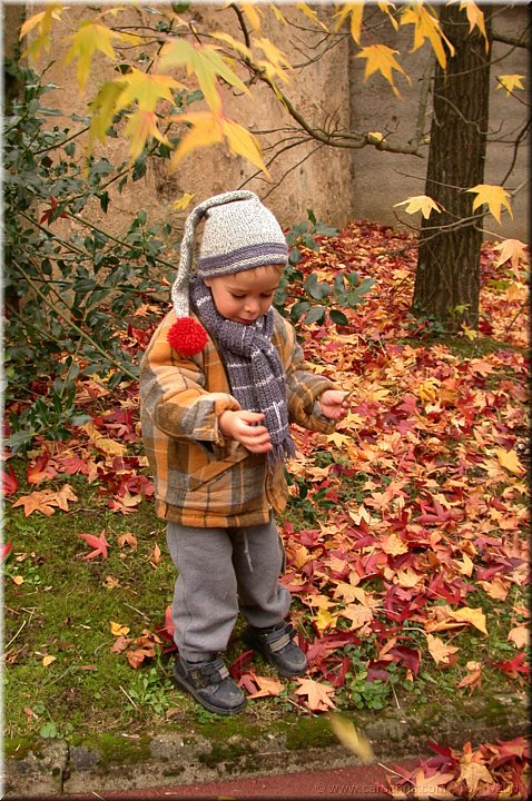 automne.jpg