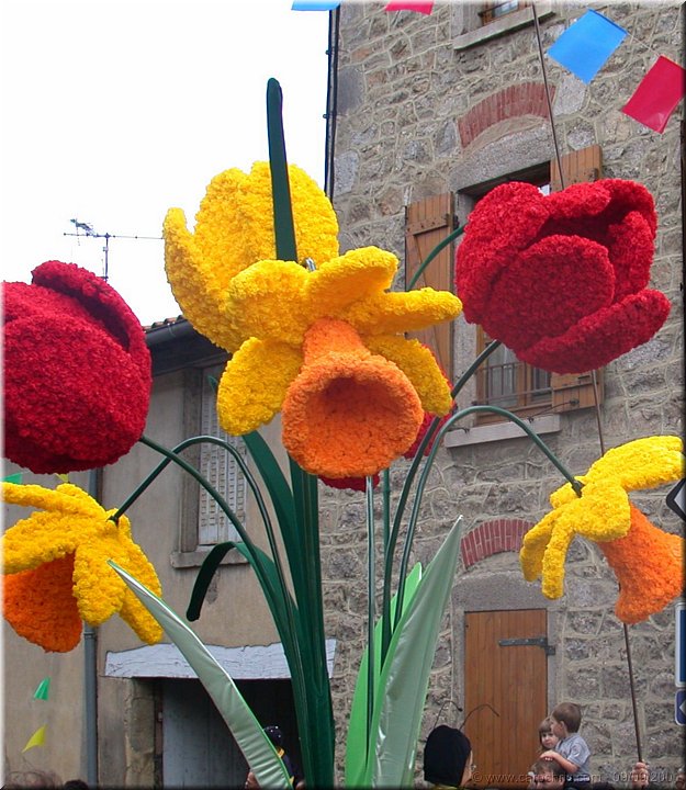 fleurs geantes.jpg