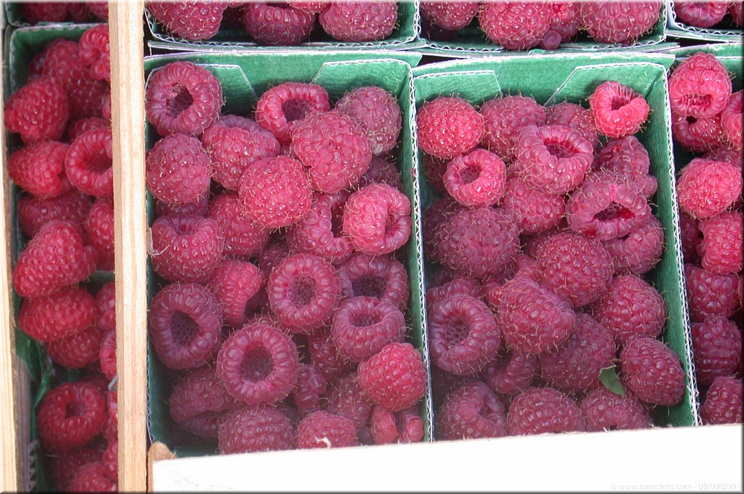 la fete du fruit.jpg