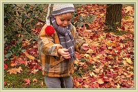 automne