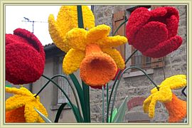 fleurs geantes