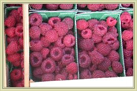la fete du fruit