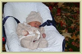 repos dans les feuilles