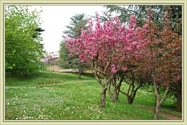 2010_038