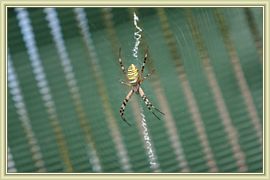 2010_069