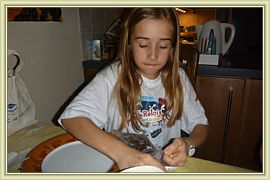 2011_241