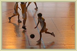 2012_233