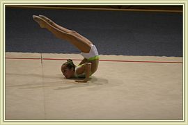 2012_236