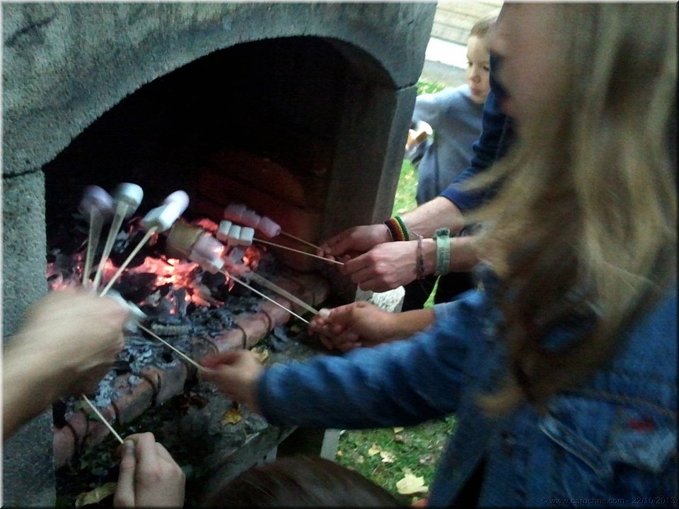 2013_202.jpg