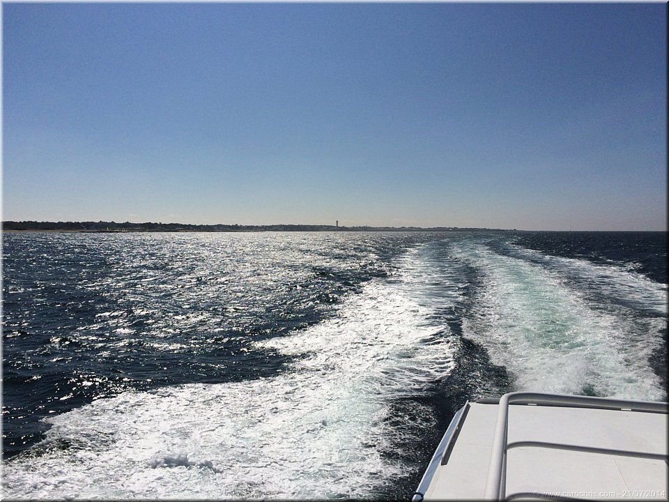 2014_080.jpg
