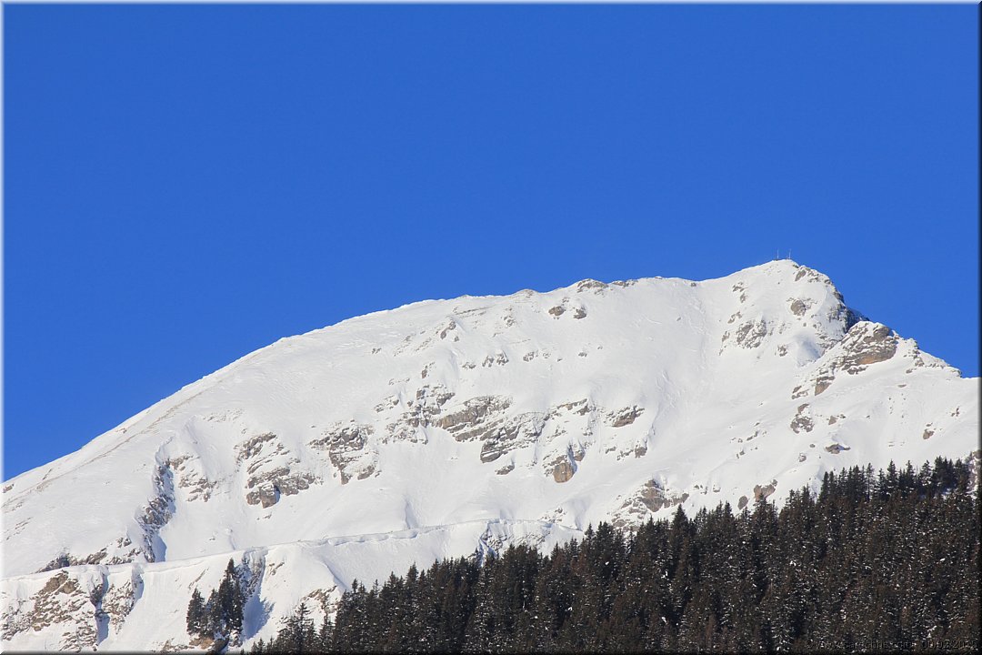 2015_012.jpg