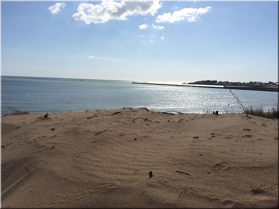 2015_111.jpg