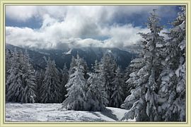 2016_013
