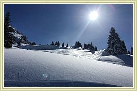 2016_016