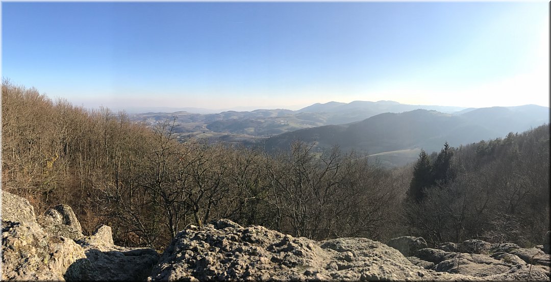 2017_020.jpg