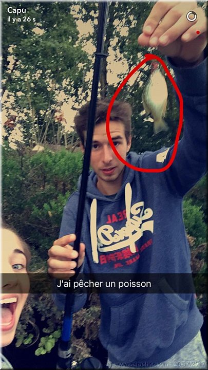 2017_115.jpg