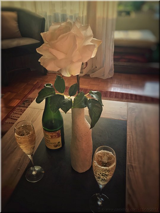 2017_204.jpg