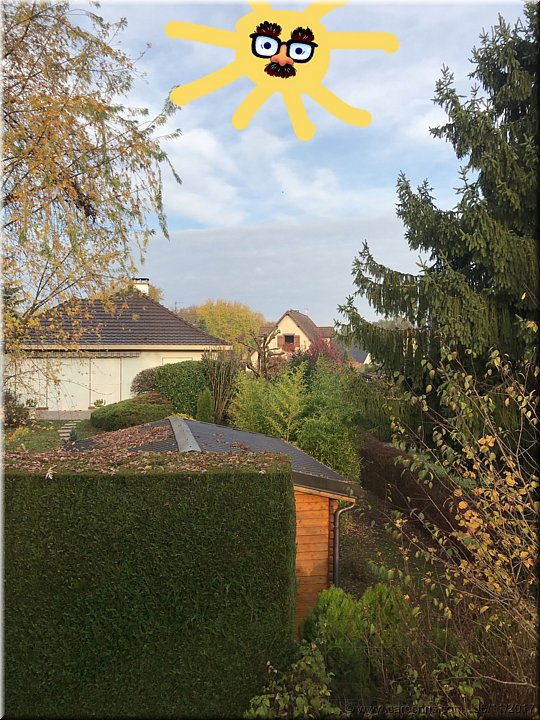 2017_234.jpg