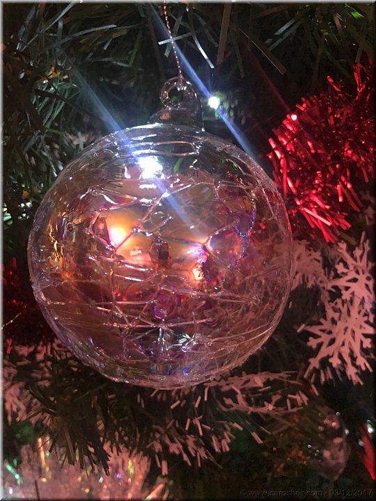 2017_257.jpg