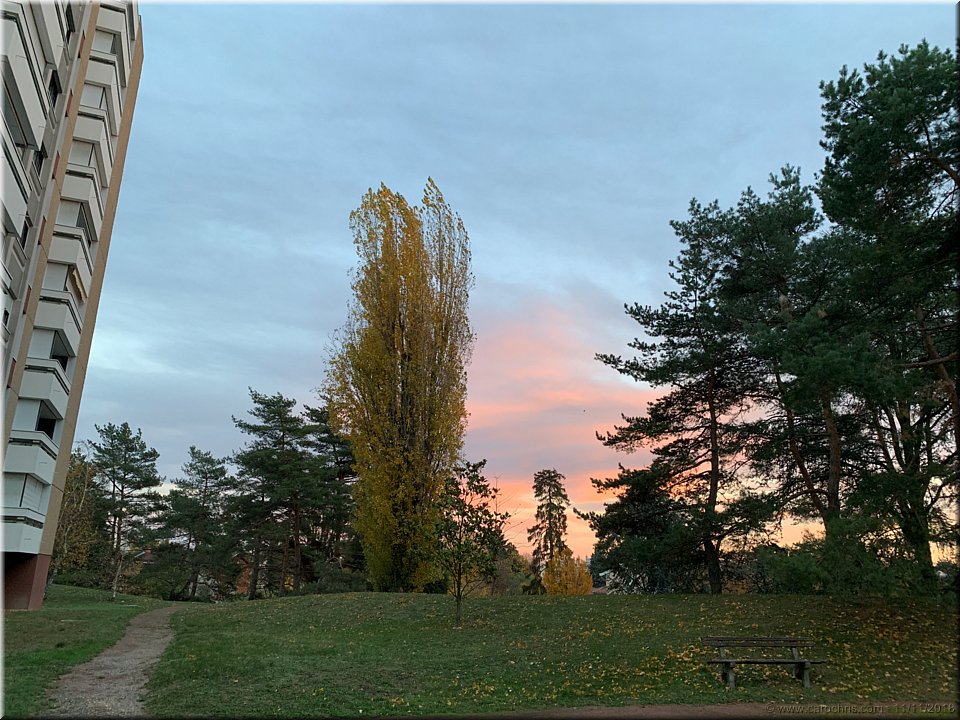 2018_259.jpg