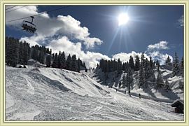 2018_017