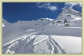 2018_020