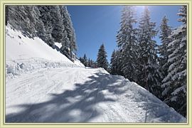 2018_026
