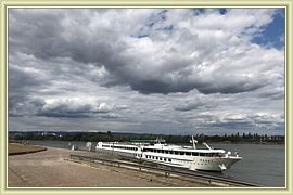 2018_203