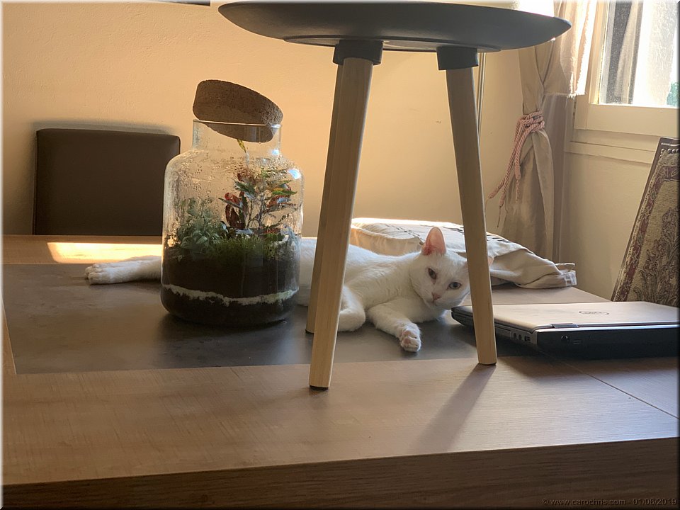 2019_107.jpg
