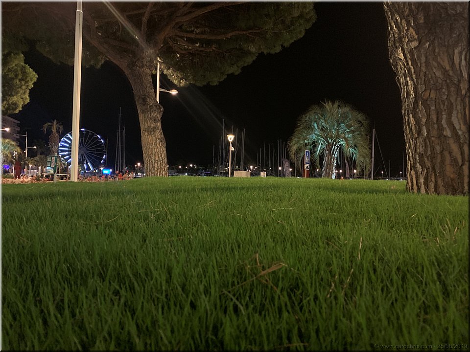 2019_174.jpg