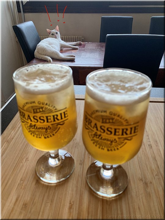2019_183.jpg