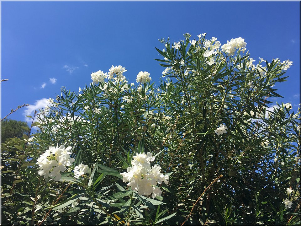 2019_206.jpg