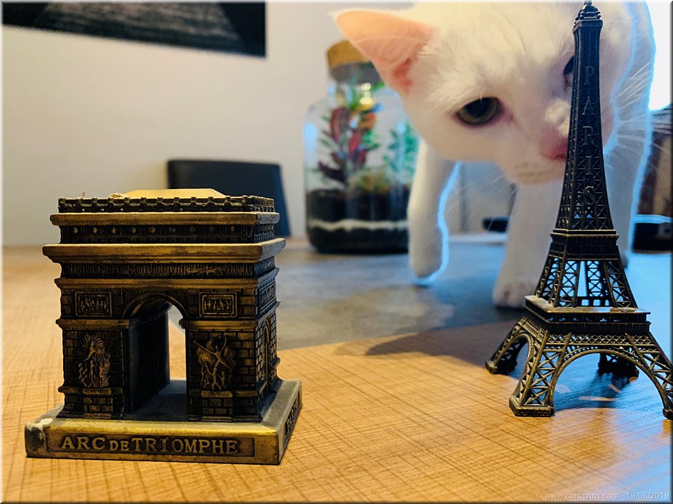 2019_276.jpg