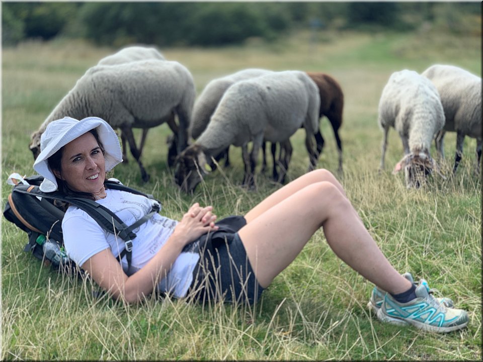 2019_288.jpg