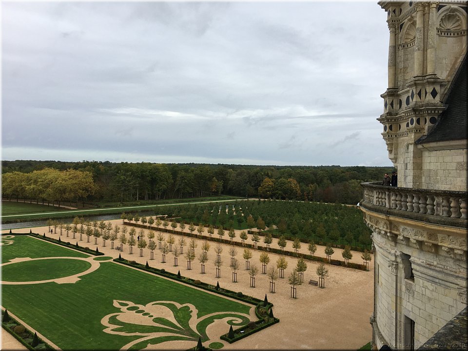 2019_372.jpg