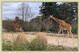 2019_024