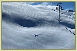 2019_031