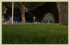 2019_174