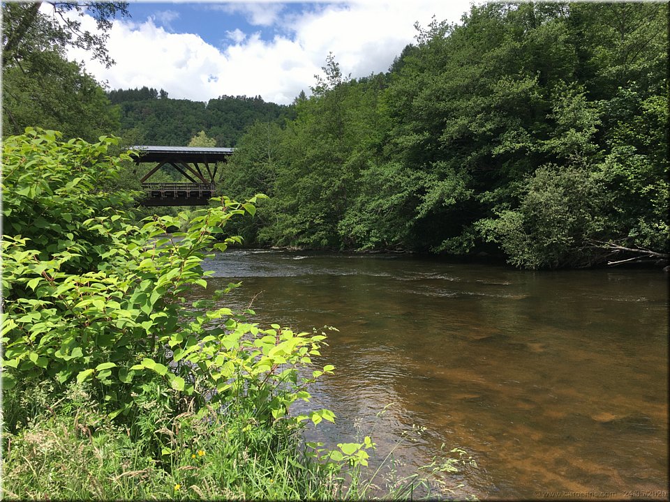 2020_091.JPG