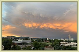 2020_134