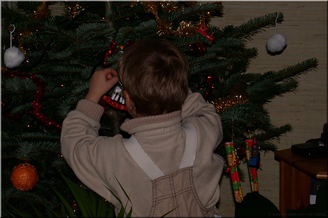 installation du sapin.jpg