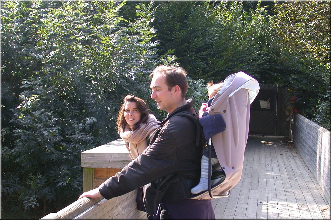 le petit pont de bois.jpg