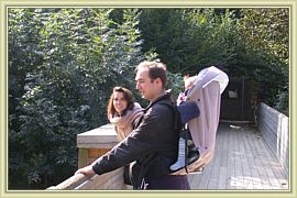 le petit pont de bois