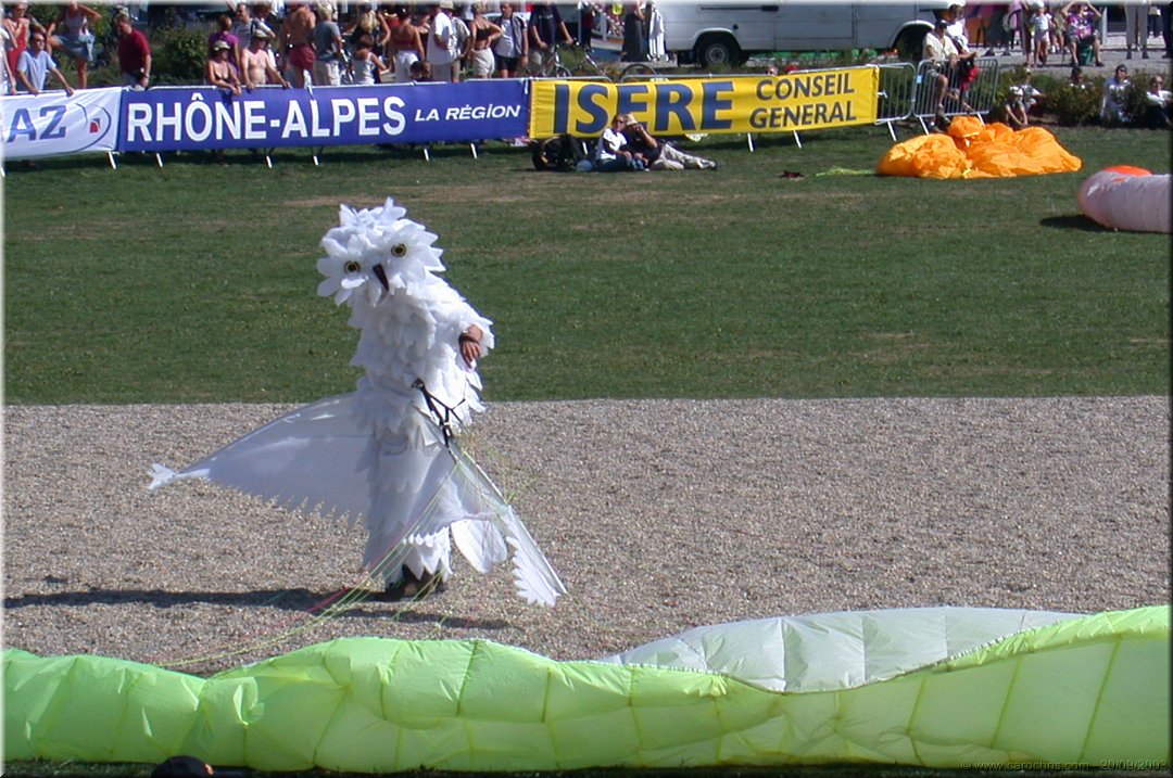 aterrissage de hibou.jpg