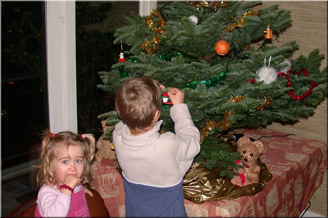 decoration du sapin.jpg