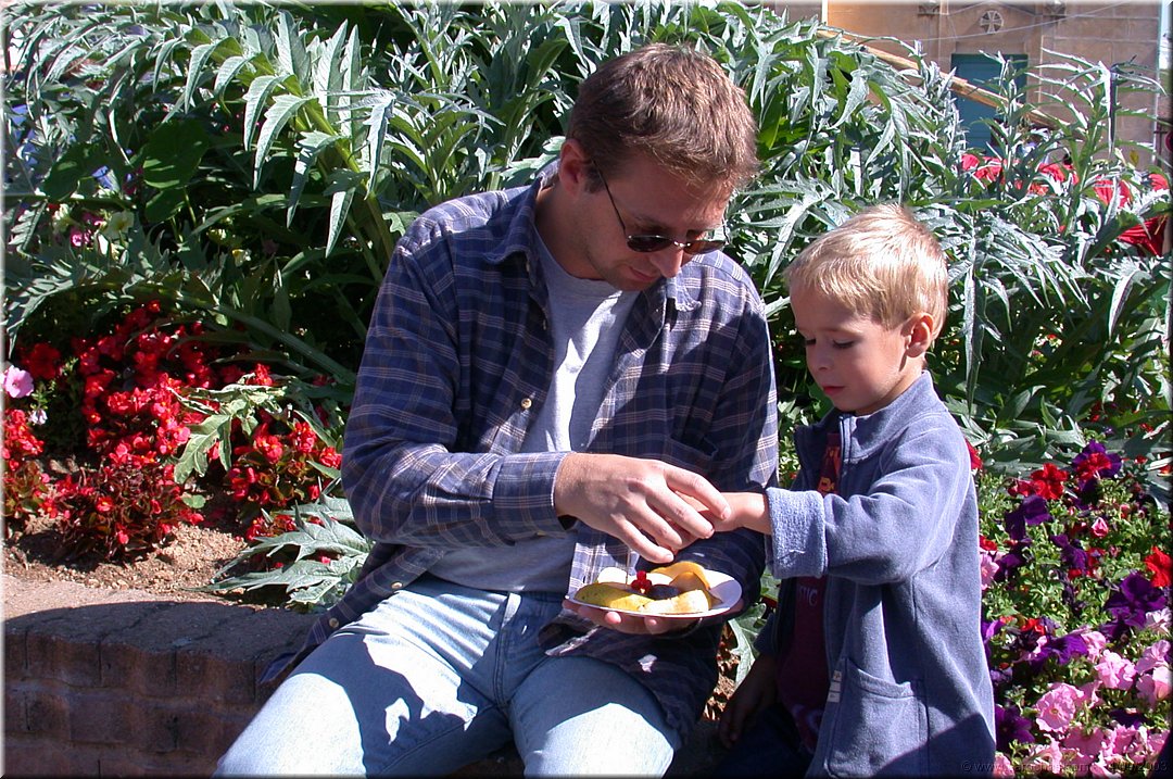 la fete du fruit.jpg