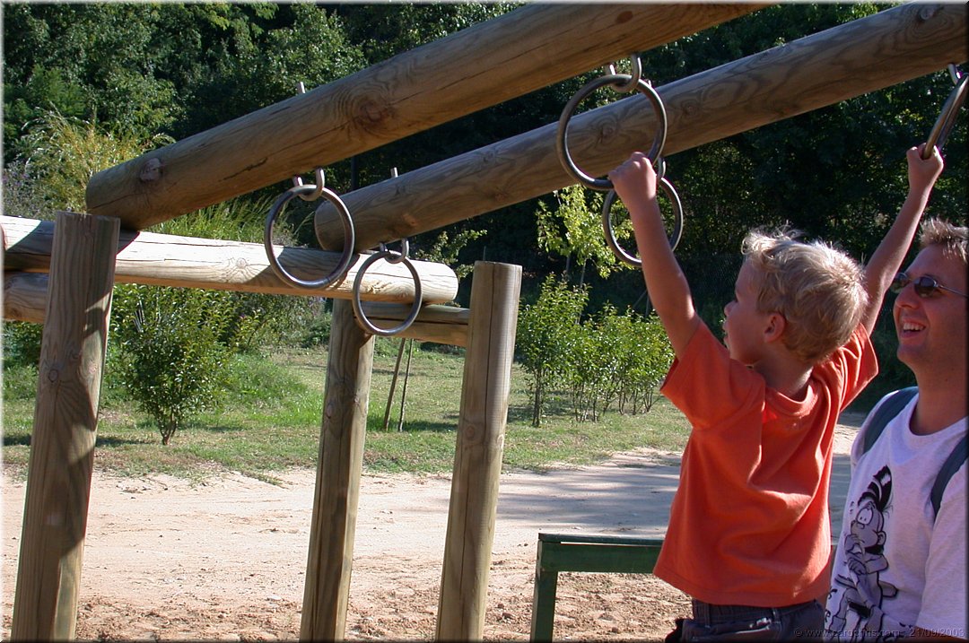 musculation.jpg