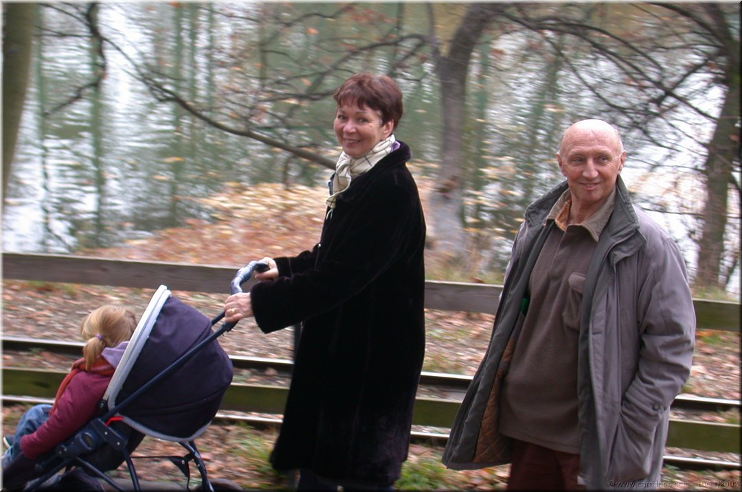 promenade dans les feuilles.jpg