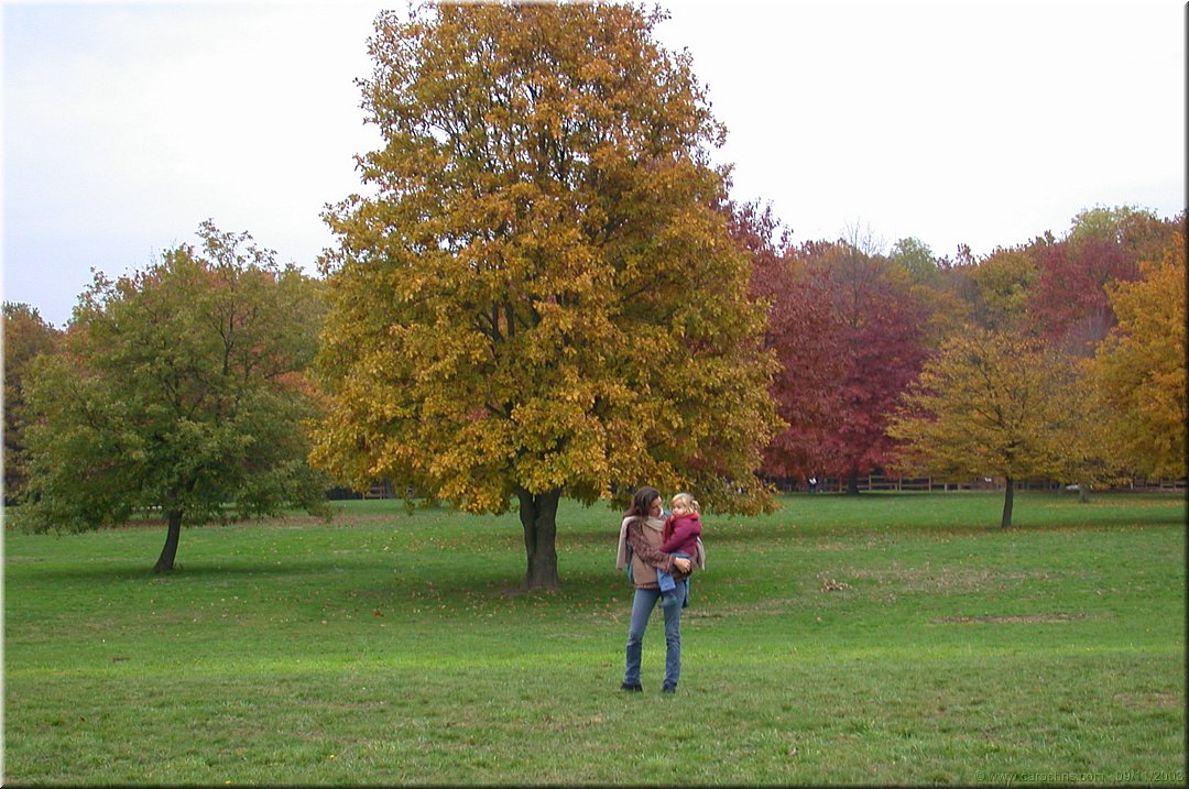 rando dans le parc.jpg