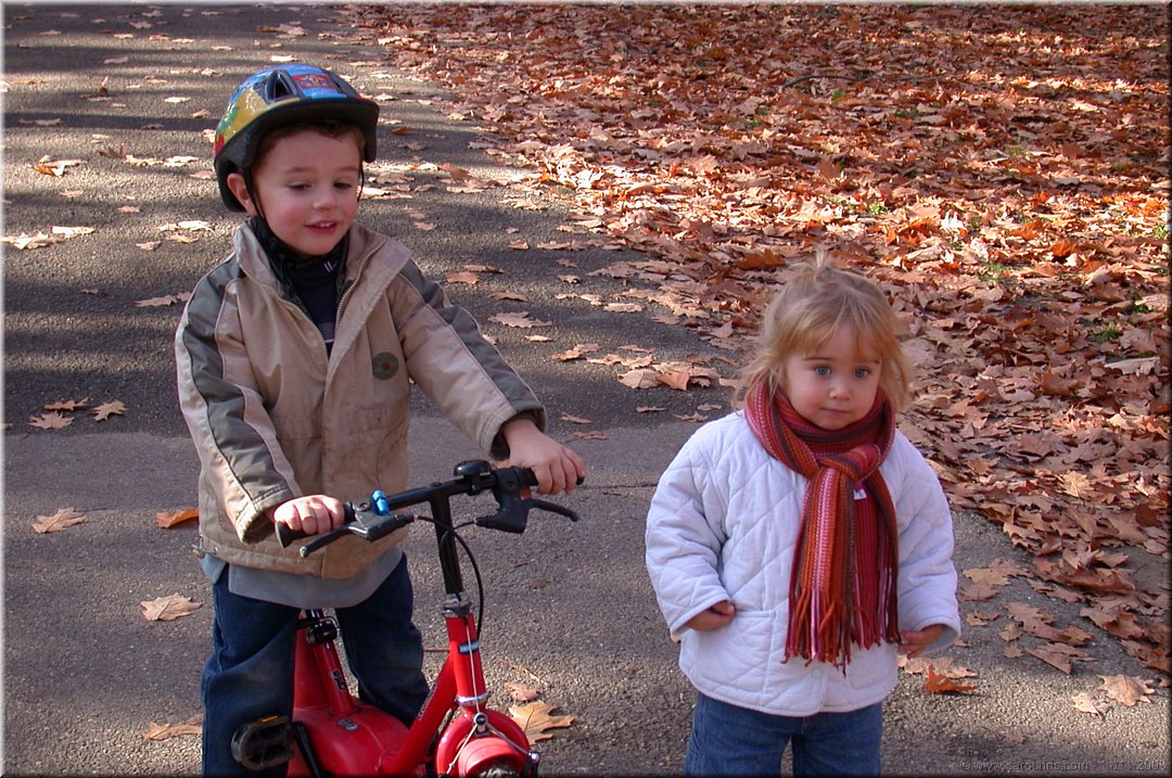 velo dans les feuilles.jpg